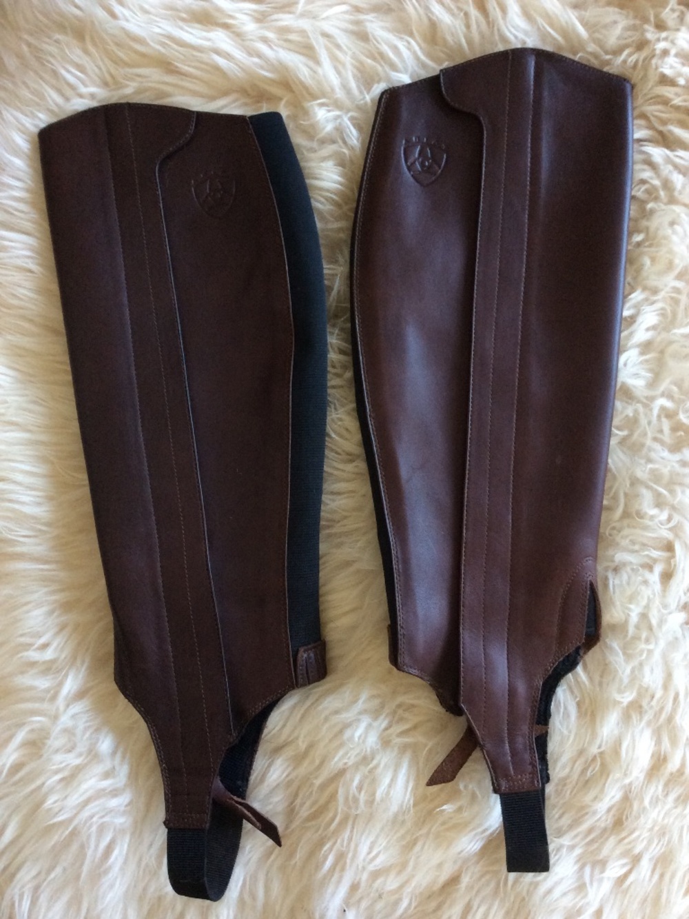 Ariat Classic Chaps - W's Small Tall - NEW - Chocolate - Picture 2 of 6